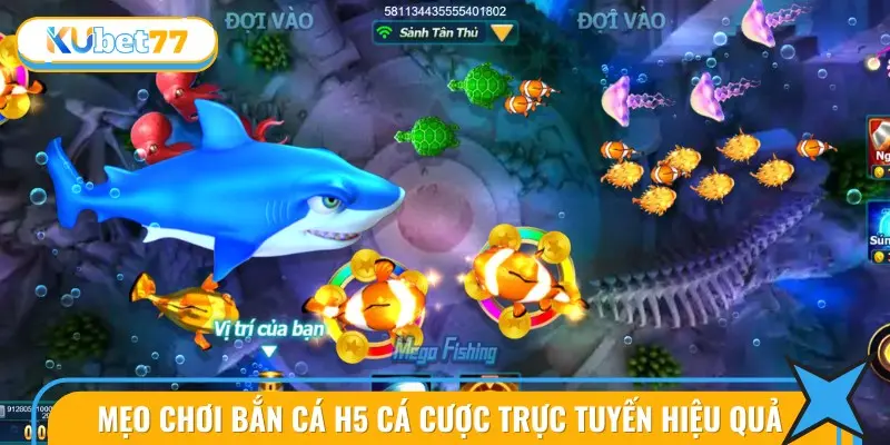 Những bí quyết được chia sẻ giúp người chơi nâng cao kỹ năng bắn cá.