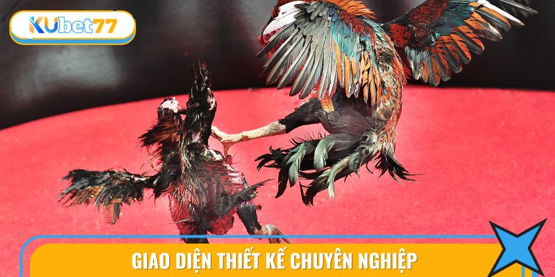 Xem Đá Gà Campuchia Hấp Dẫn: Thủ Thuật Chơi Hay Nhất 2 Điểm Mạnh Vượt Trội Của Đá Gà Campuchia