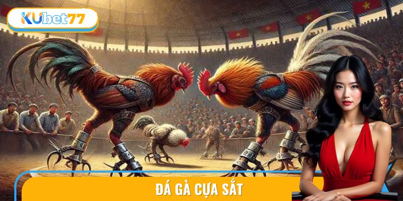 Đá Gà Cựa Sắt