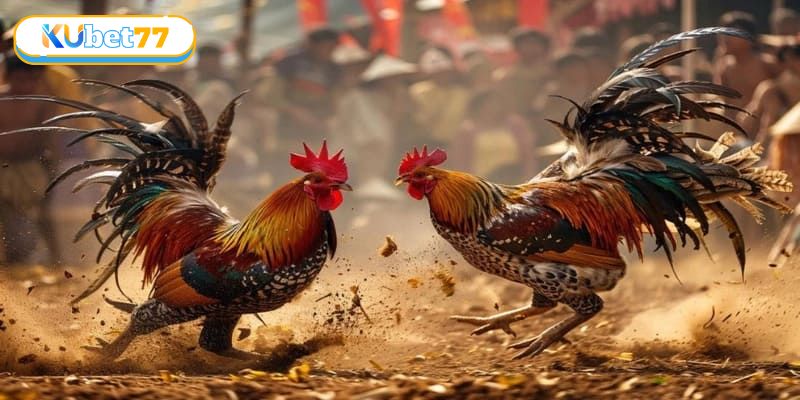 Áp dụng ngay những mẹo chơi cực hiệu quả